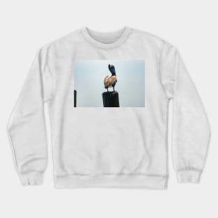 Brown Pelican of Calabash Crewneck Sweatshirt